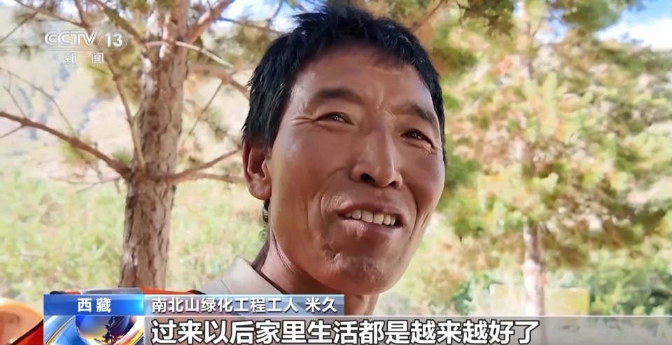 4年栽植苗木1.2亿多株 看拉萨高原如何披“绿装”